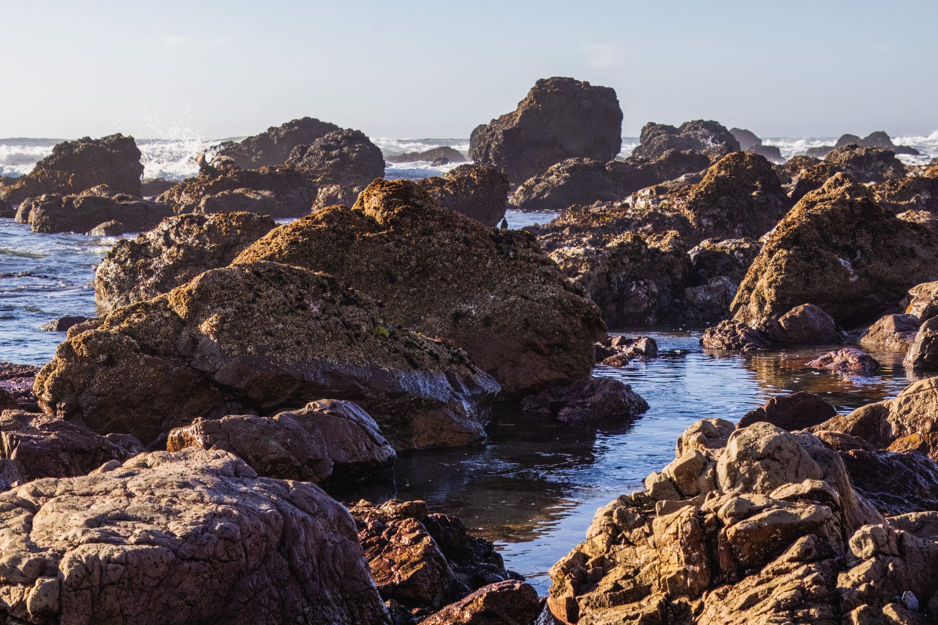 Explore the rugged beauty of eroded rocks along the coast at low tide, showcasing nature's artistry.